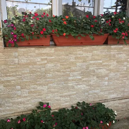 Casa Petre Eforie Nord