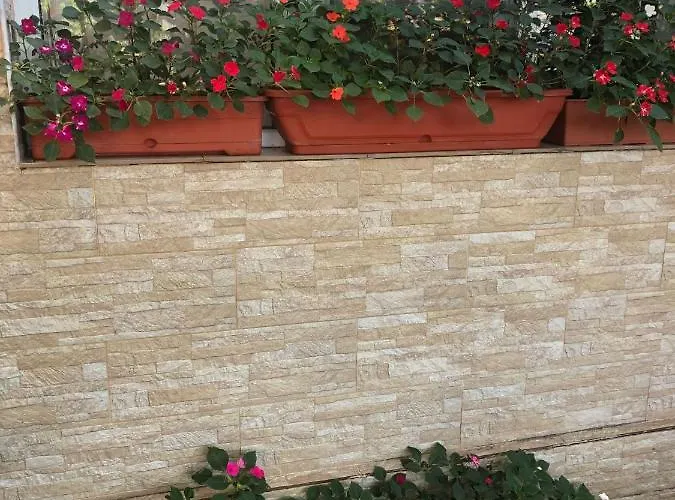 Casa Petre Eforie Nord