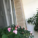 Проживание в семье Casa Petre