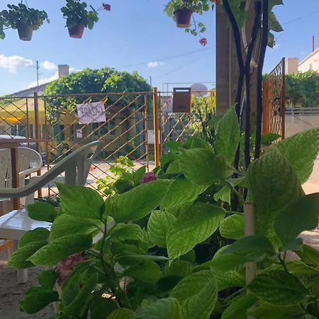 Casa Petre
