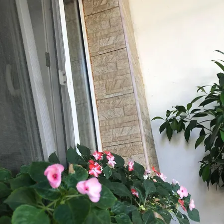 Homestay Casa Petre