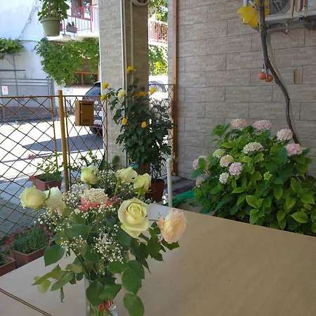 Casa Petre * 艾福雷诺德