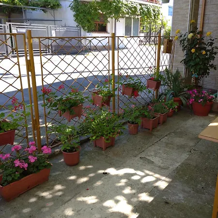 Casa Petre * 艾福雷诺德