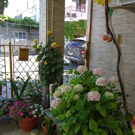 Casa Petre *