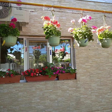 Casa Petre 民宿 *