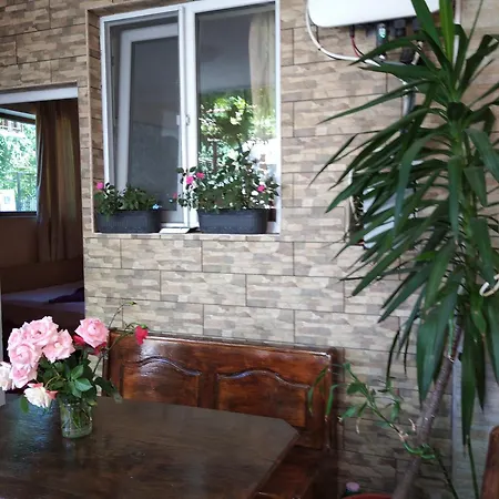 民宿 Casa Petre 艾福雷诺德